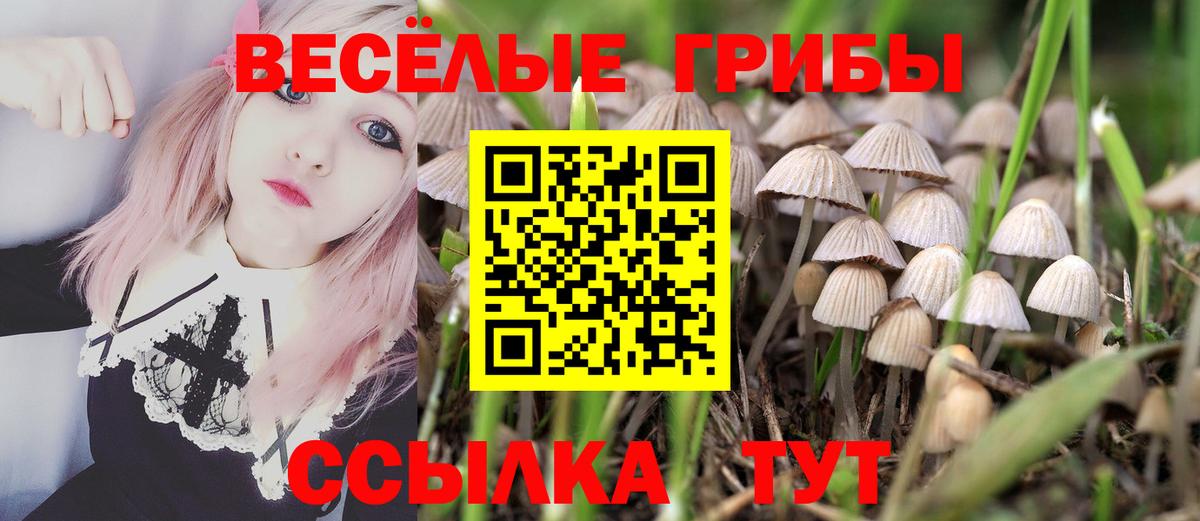 Галлюциногенные грибы Magic Shrooms Брянск
