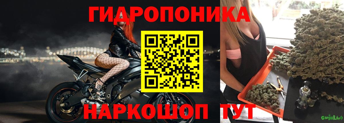 Бошки Шишки марихуана Брянск